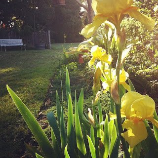 I wish you a full life of the every day | allisontait.com