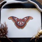 Bookish gifts for kids and teens