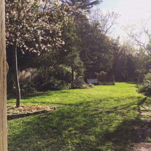 allison tait garden late afternoon