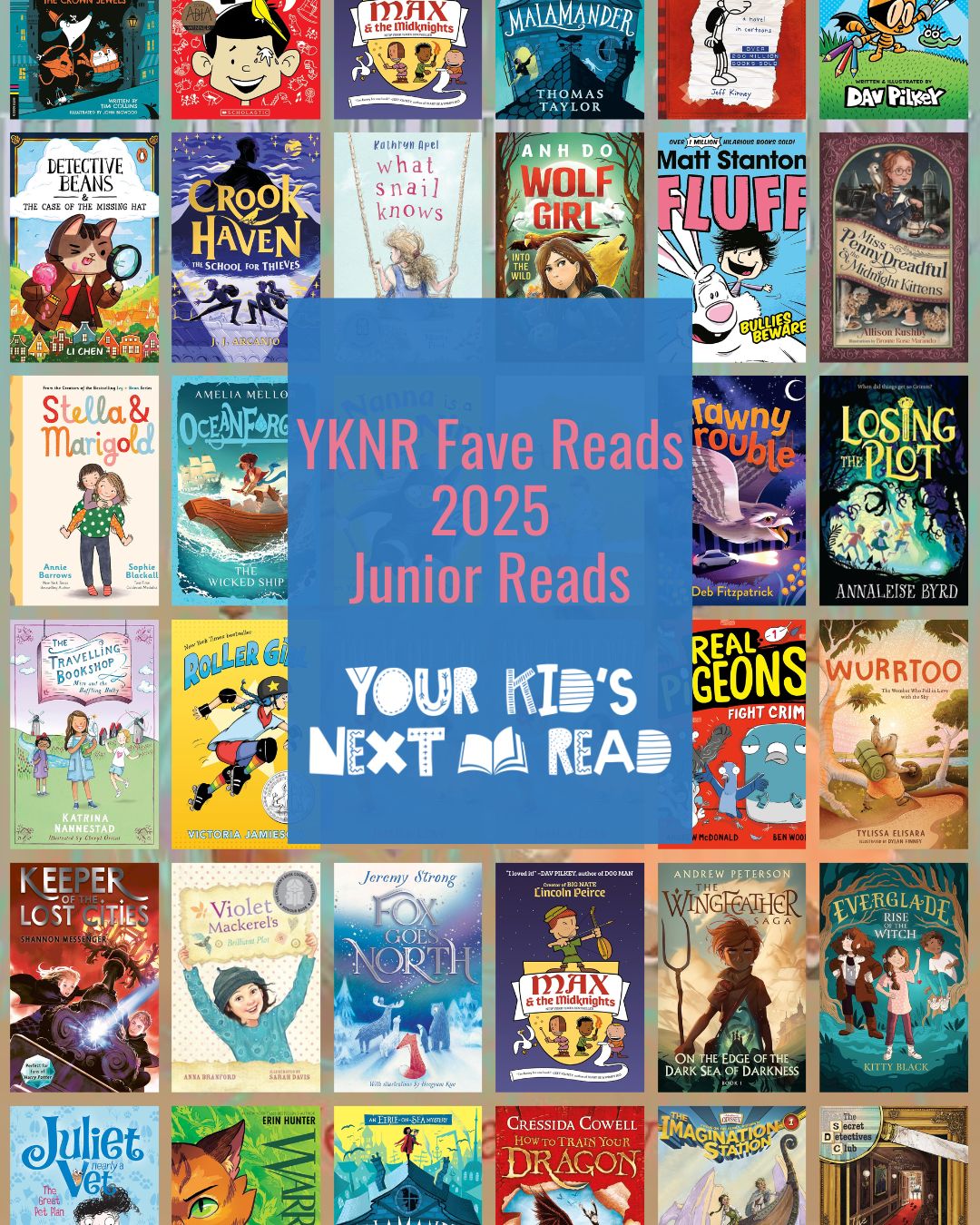 yknr faves 2025 junior fiction (Instagram Post (45))