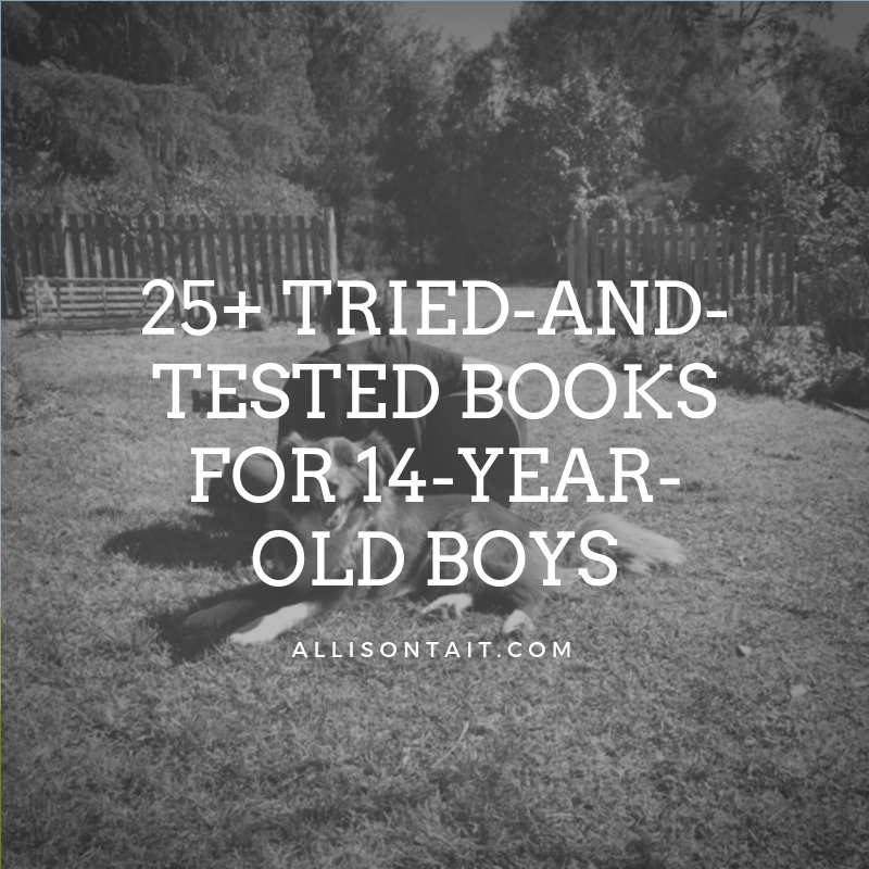 25+ tried-and-tested books for 13/14-year-old boys | allisontait.com