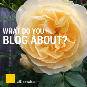 What do you blog about?