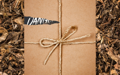 Introducing DANGER ROAD by A. L. Tait, coming July 2025