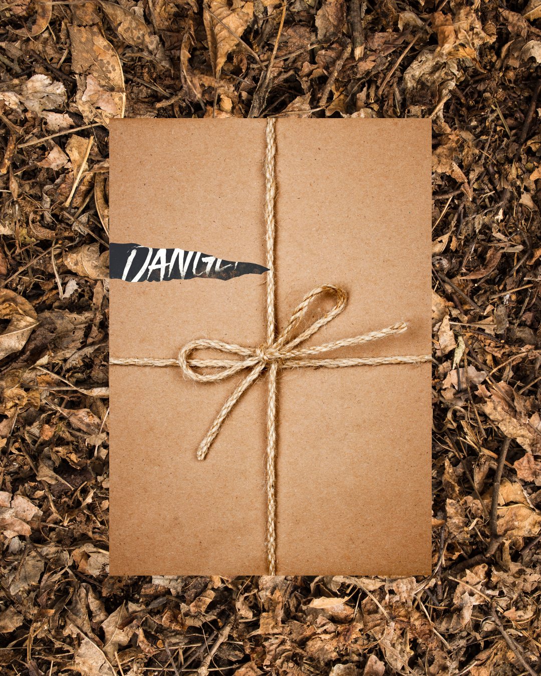 Danger Road by A. L. Tait